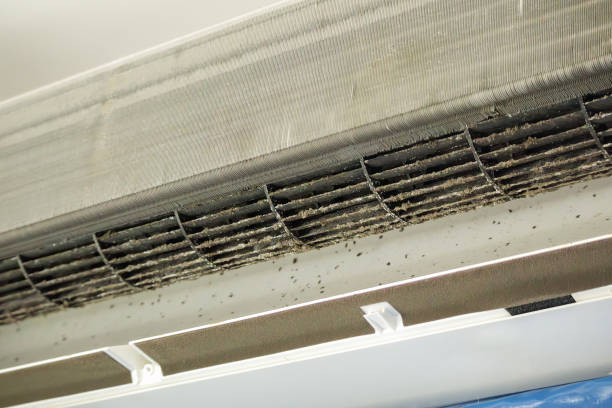 Best Professional Duct Cleaning Services  in Warsaw, MO